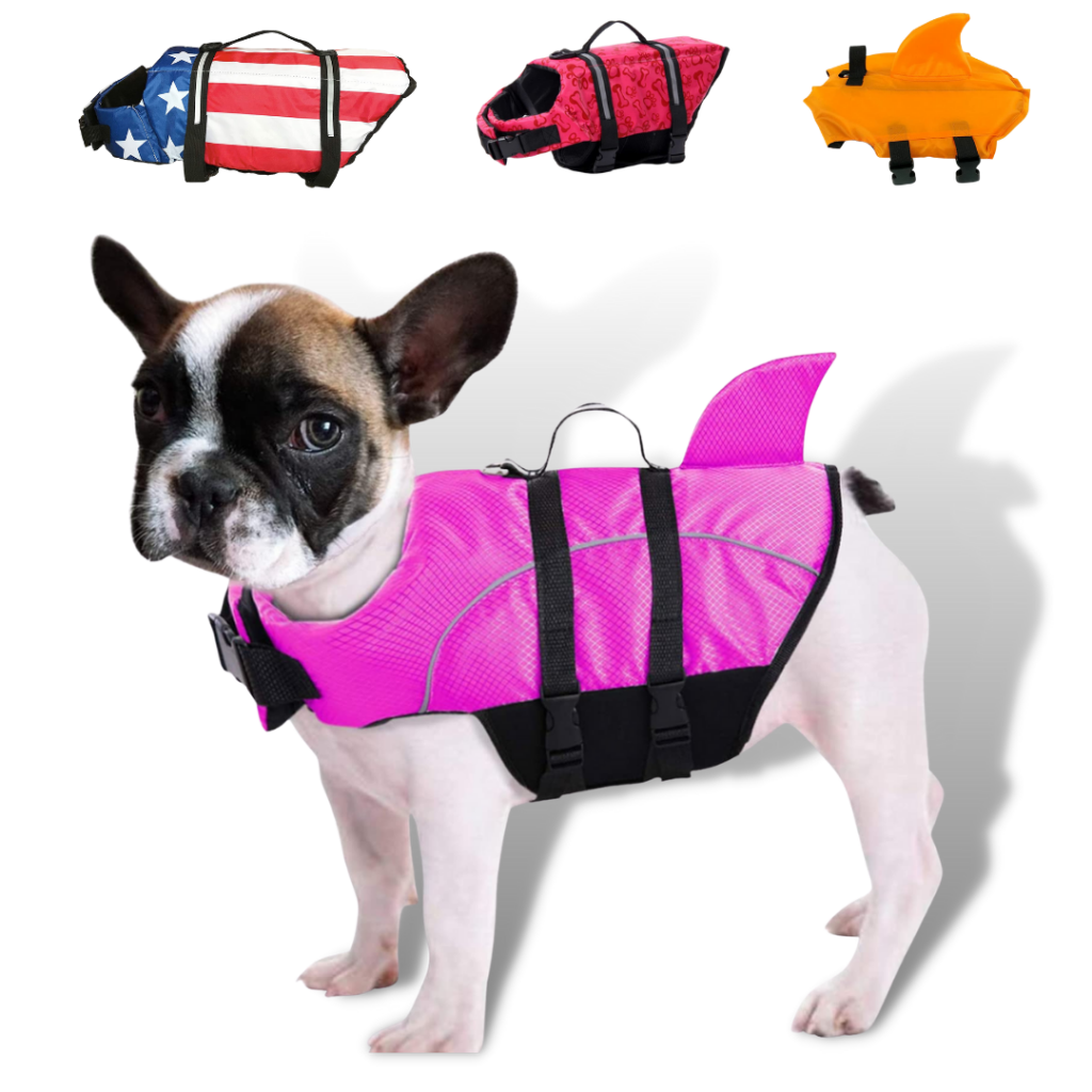 Best life jacket for pug
