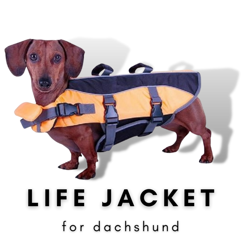 Best life jacket for dachshund
