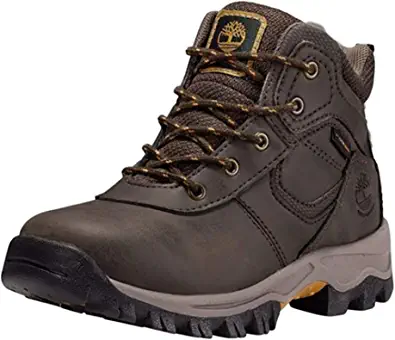 Timberland Unisex-Child Youth Mt. Maddsen Timberdry Waterproof Hiking Boot by Store Timberland Store