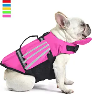 Pet Life Jackets: Dog Life Jacket, Wings Design Pet Life Vest, Dog Flotation Lifesaver Preserver Swimsuit with Handle for Swim, Pool, Beach, Boating, for Puppy Small, Medium, Large Size Dogs by Store Petglad Store